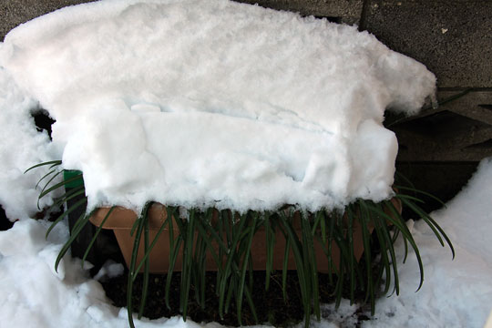 f:id:takahikonojima:20180123191042j:plain f:id:takahikonojima:20180123191042j:plain