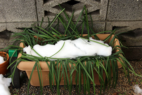 f:id:takahikonojima:20180128185209j:plain