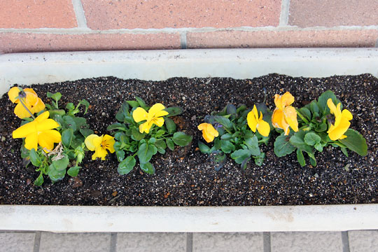 f:id:takahikonojima:20180130142442j:plain f:id:takahikonojima:20180130142442j:plain