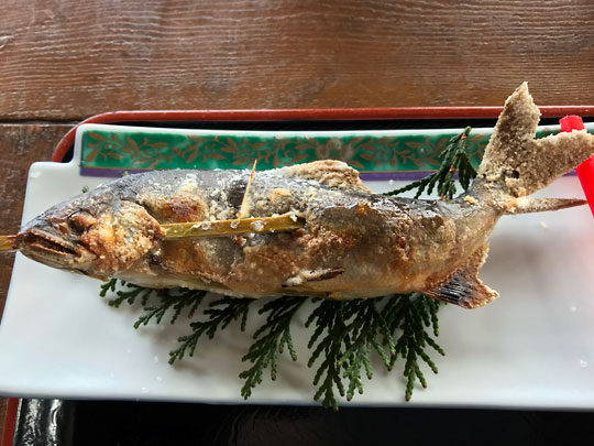 f:id:takahikonojima:20180130142502j:plain f:id:takahikonojima:20180130142502j:plain