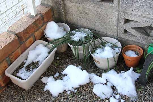 f:id:takahikonojima:20180203180405j:plain