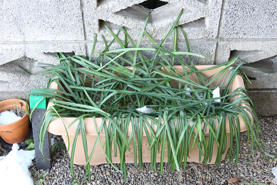 f:id:takahikonojima:20180203180410j:plain