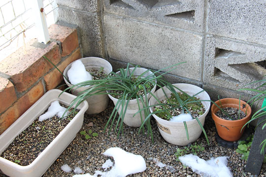 f:id:takahikonojima:20180203180519j:plain