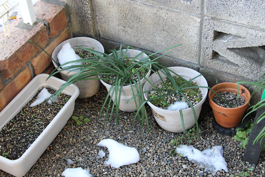 f:id:takahikonojima:20180203180643j:plain