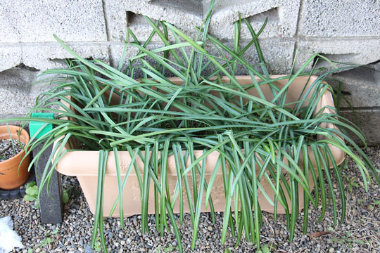 f:id:takahikonojima:20180203180651j:plain