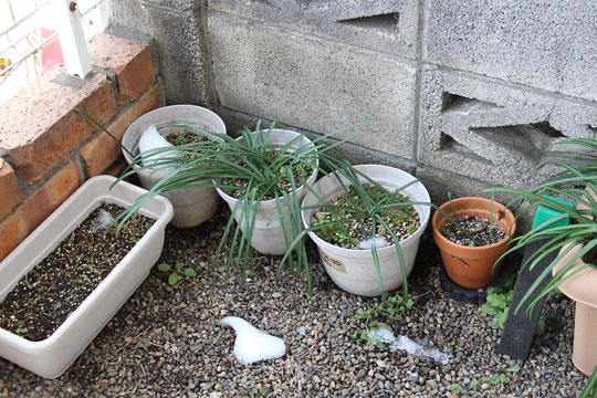 f:id:takahikonojima:20180203180808j:plain