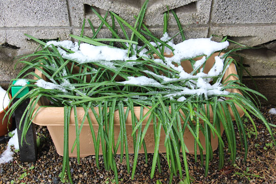 f:id:takahikonojima:20180203180948j:plain