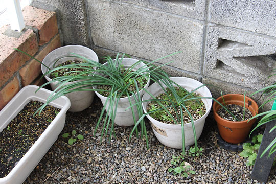 f:id:takahikonojima:20180206152716j:plain