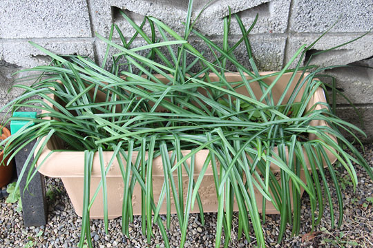 f:id:takahikonojima:20180206152724j:plain