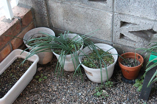 f:id:takahikonojima:20180206152732j:plain