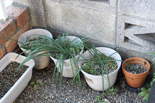 f:id:takahikonojima:20180206152745j:plain