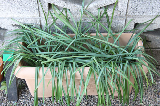 f:id:takahikonojima:20180206152752j:plain