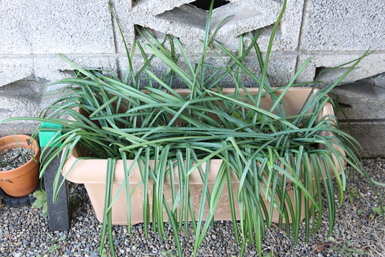 f:id:takahikonojima:20180209140656j:plain