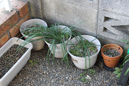 f:id:takahikonojima:20180209140937j:plain