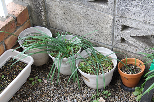 f:id:takahikonojima:20180213131209j:plain