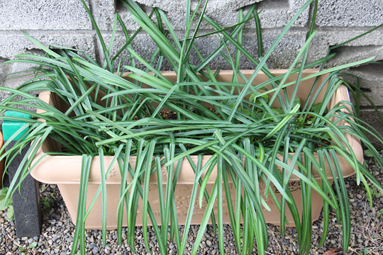 f:id:takahikonojima:20180213131215j:plain