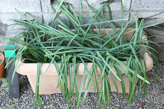 f:id:takahikonojima:20180213131231j:plain