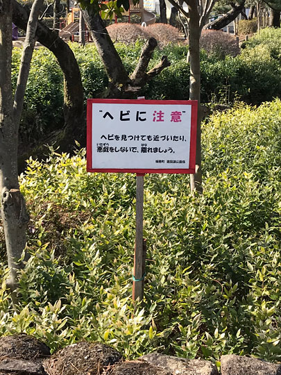 f:id:takahikonojima:20180215170447j:plain