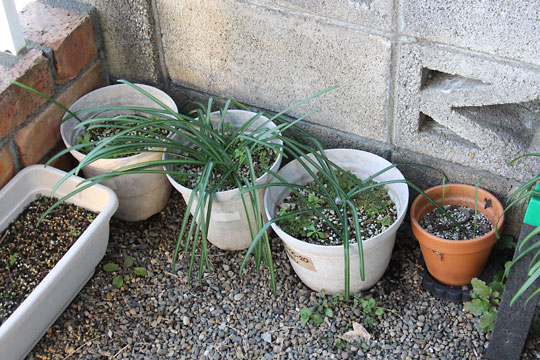 f:id:takahikonojima:20180219125228j:plain