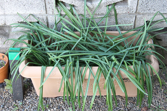 f:id:takahikonojima:20180219125234j:plain