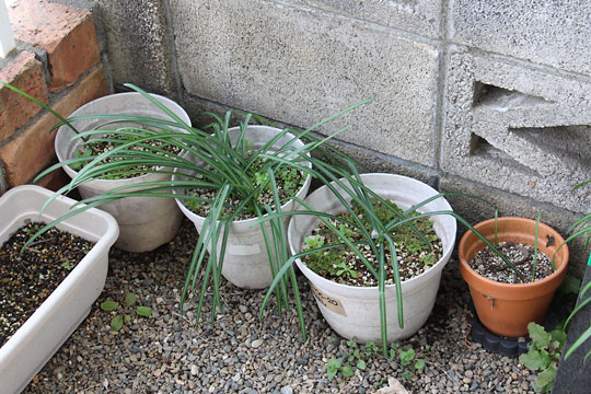 f:id:takahikonojima:20180219125521j:plain