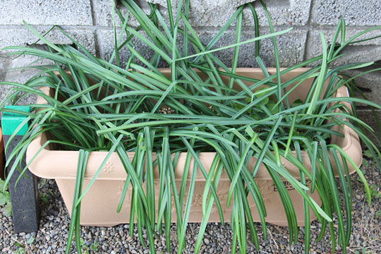 f:id:takahikonojima:20180219125528j:plain