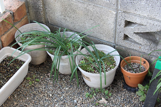 f:id:takahikonojima:20180219125537j:plain