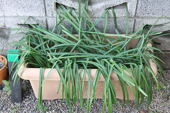 f:id:takahikonojima:20180219125544j:plain