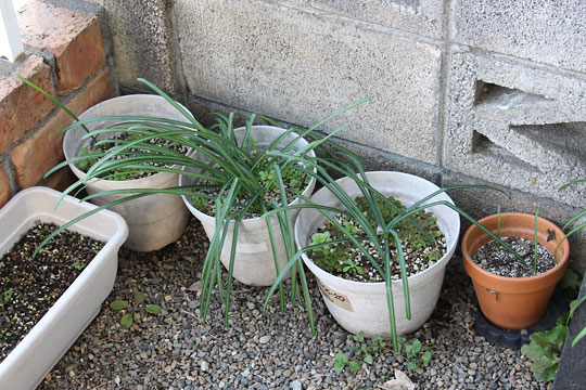 f:id:takahikonojima:20180219125701j:plain