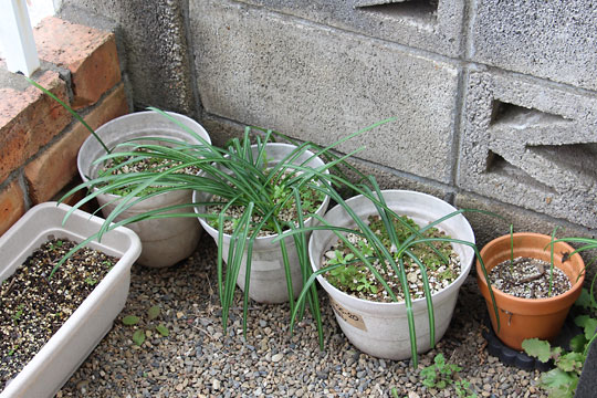 f:id:takahikonojima:20180228161310j:plain