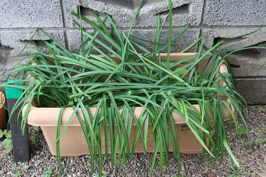 f:id:takahikonojima:20180228161315j:plain