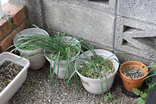 f:id:takahikonojima:20180228161421j:plain