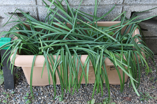 f:id:takahikonojima:20180303100511j:plain