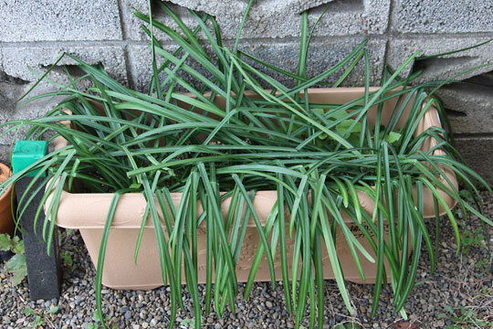 f:id:takahikonojima:20180303100640j:plain