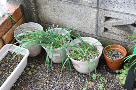 f:id:takahikonojima:20180303100750j:plain