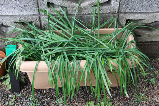 f:id:takahikonojima:20180303100757j:plain