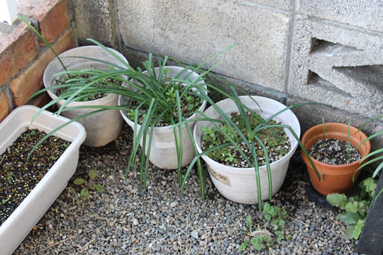 f:id:takahikonojima:20180303101138j:plain