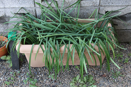 f:id:takahikonojima:20180303101144j:plain