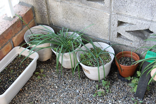 f:id:takahikonojima:20180303101207j:plain