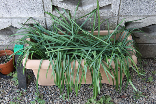 f:id:takahikonojima:20180303101212j:plain