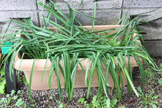 f:id:takahikonojima:20180324080129j:plain