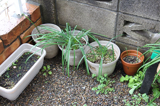 f:id:takahikonojima:20180324080148j:plain