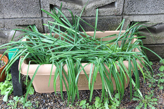 f:id:takahikonojima:20180324080155j:plain