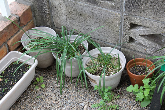 f:id:takahikonojima:20180324080201j:plain