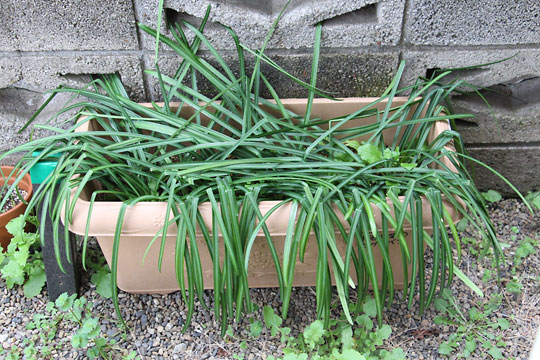 f:id:takahikonojima:20180324080210j:plain