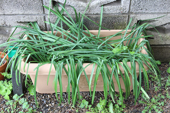 f:id:takahikonojima:20180324080221j:plain