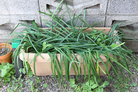 f:id:takahikonojima:20180331081004j:plain