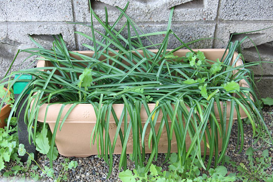 f:id:takahikonojima:20180404124344j:plain