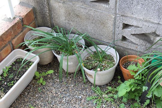 f:id:takahikonojima:20180404124350j:plain