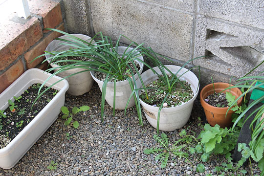 f:id:takahikonojima:20180404124427j:plain